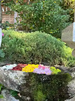 木幡山隠津島神社(二本松市)(福島県)