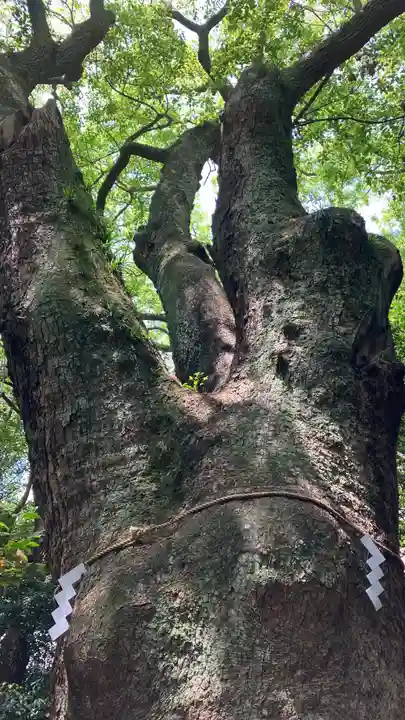 生田神社(兵庫県)