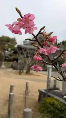 新日吉神宮(京都府)