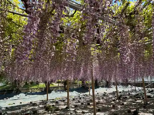 白旗神社(神奈川県)