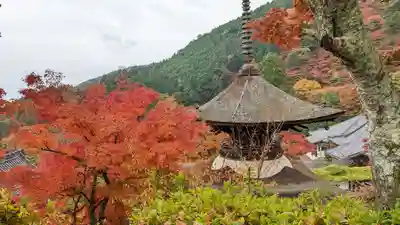 善峯寺(京都府)