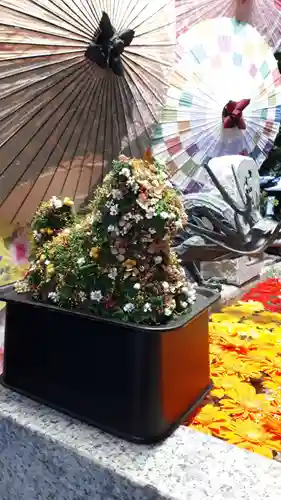 札幌諏訪神社の狛犬