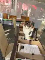 牟呂八幡宮(愛知県)