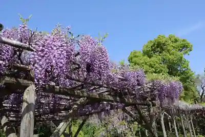 亀戸天神社(東京都)
