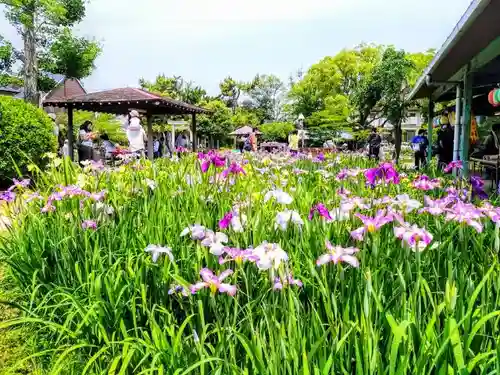 知立神社の庭園