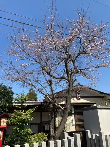 總社 和田八幡宮の自然