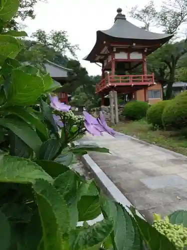 宝蔵寺のその他建物