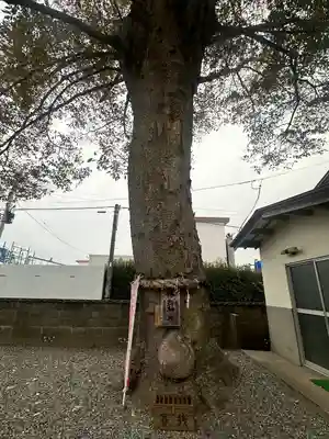 須賀神社(宮城県)