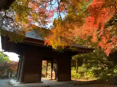 普門寺(切り絵御朱印発祥の寺)の山門・神門