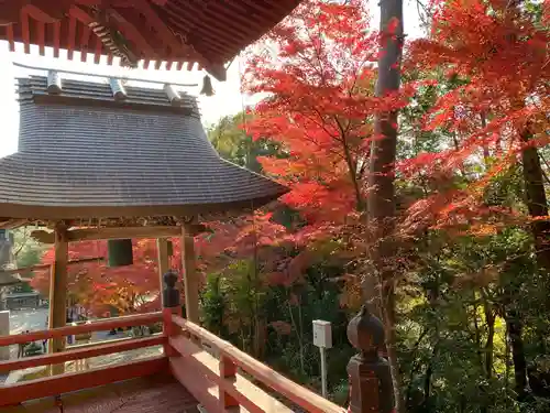 柏原八幡宮の景色