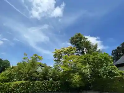 鏡石鹿嶋神社 ＊安産・開運・勝利の神さま＊の{uncategorized: "未分類", other: "その他", undefined: "問題あり", building: "その他建物", grave: "お墓", sacred_gate: "鳥居", guardian: "狛犬", statue: "像", buddha: "仏像", history: "歴史", nature: "自然", garden: "庭園", animal: "動物", pagoda: "塔", temizu: "手水舎", mountain_gate: "山門・神門", sanctuary: "本殿・本堂", subordinate: "末社・摂社", art: "芸術", scenery: "景色", jizo: "地蔵", ema: "絵馬", goshuin: "御朱印", omikuji: "おみくじ", items: "授与品その他", amulet: "お守り", goshuincho: "御朱印帳", eats: "食事", festival: "お祭り", votive_dance: "神楽", shichigosan: "七五三参", wedding: "結婚式", experience: "体験その他", initially: "初詣", around: "周辺", anti_infection: "感染症対策"}