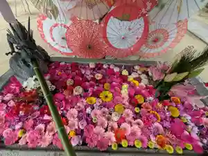 三津厳島神社(愛媛県)(2025年12月31日(水) 19時10分11秒投稿)