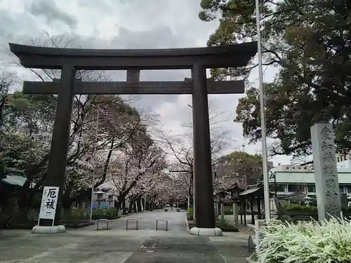 愛知縣護國神社の鳥居