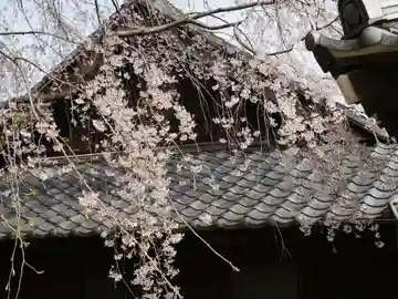 天王寺の本殿・本堂