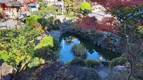 本妙寺(京都府)