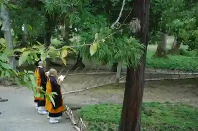 大覚寺のその他建物