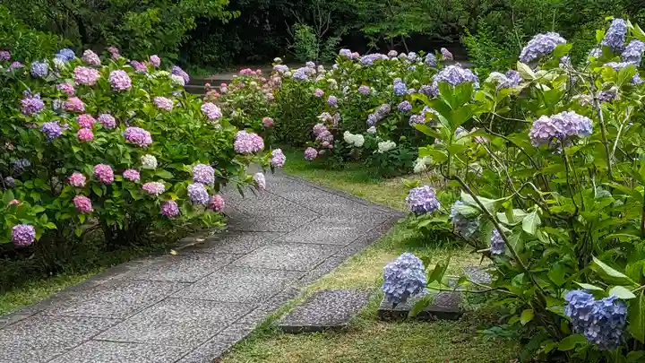 智積院(京都府)