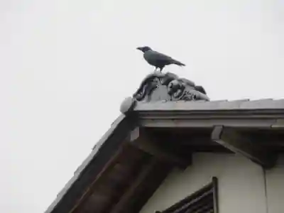 天祥寺(埼玉県)