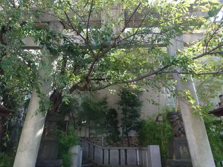 雉子神社の鳥居
