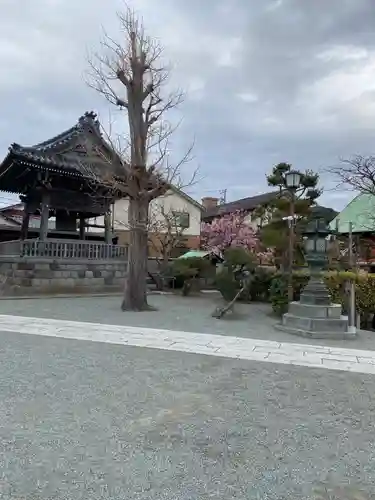 本覚寺(神奈川県)