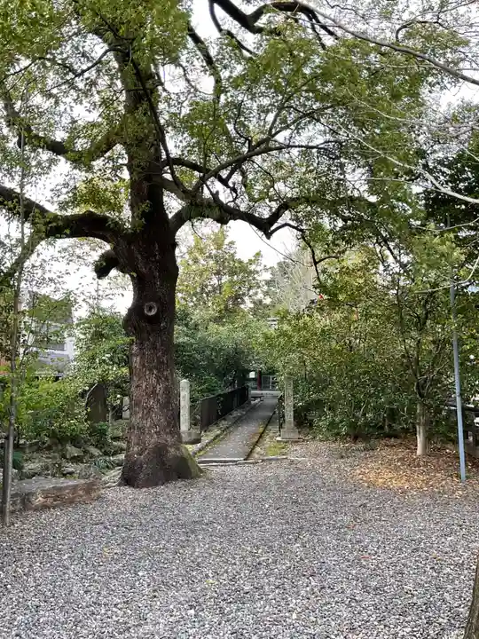 溝旗神社(肇國神社)(岐阜県)