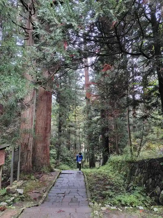 羽黒山五重塔(出羽三山神社)(山形県)