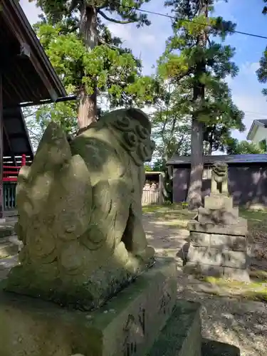 白山神社の狛犬