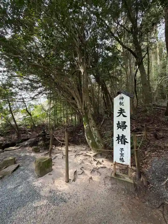 八重垣神社の{uncategorized: "未分類", other: "その他", undefined: "問題あり", building: "その他建物", grave: "お墓", sacred_gate: "鳥居", guardian: "狛犬", statue: "像", buddha: "仏像", history: "歴史", nature: "自然", garden: "庭園", animal: "動物", pagoda: "塔", temizu: "手水舎", mountain_gate: "山門・神門", sanctuary: "本殿・本堂", subordinate: "末社・摂社", art: "芸術", scenery: "景色", jizo: "地蔵", ema: "絵馬", goshuin: "御朱印", omikuji: "おみくじ", items: "授与品その他", amulet: "お守り", goshuincho: "御朱印帳", eats: "食事", festival: "お祭り", votive_dance: "神楽", shichigosan: "七五三参", wedding: "結婚式", experience: "体験その他", initially: "初詣", around: "周辺", anti_infection: "感染症対策"}
