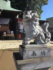 守谷総鎮守 八坂神社の狛犬