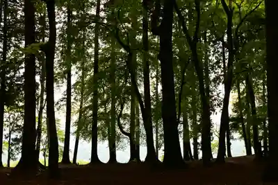 宝登山神社奥宮(埼玉県)