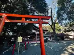 津島神社(愛知県)