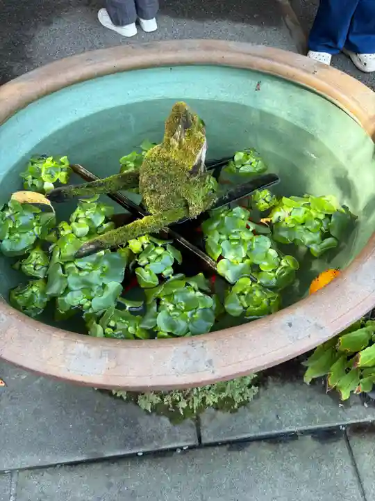 報国寺(神奈川県)