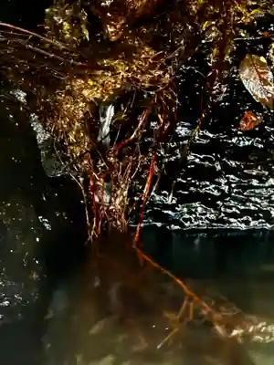 天岩戸神社(宮崎県)