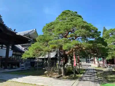 善光寺大勧進のその他建物