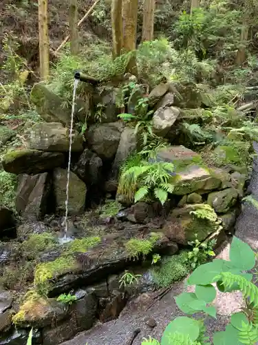 名草厳島神社の庭園