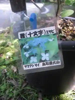 光則寺(神奈川県)