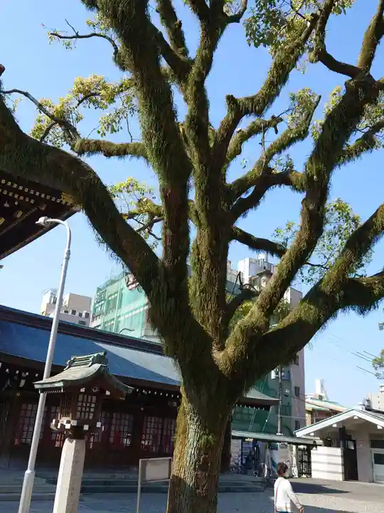真清田神社の自然