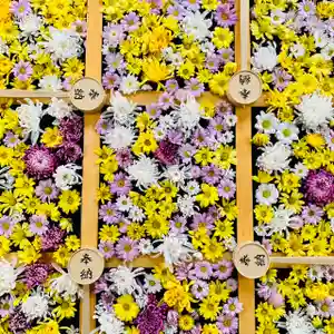 土津神社|こどもと出世の神さまの手水舎(2021年03月31日(水) 14時34分38秒投稿)