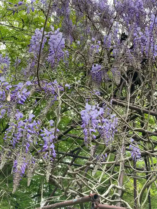 青葉神社の自然