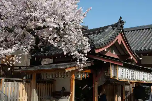 四天王寺の本殿・本堂