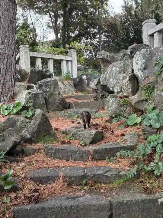 恵比須神社の{uncategorized: "未分類", other: "その他", undefined: "問題あり", building: "その他建物", grave: "お墓", sacred_gate: "鳥居", guardian: "狛犬", statue: "像", buddha: "仏像", history: "歴史", nature: "自然", garden: "庭園", animal: "動物", pagoda: "塔", temizu: "手水舎", mountain_gate: "山門・神門", sanctuary: "本殿・本堂", subordinate: "末社・摂社", art: "芸術", scenery: "景色", jizo: "地蔵", ema: "絵馬", goshuin: "御朱印", omikuji: "おみくじ", items: "授与品その他", amulet: "お守り", goshuincho: "御朱印帳", eats: "食事", festival: "お祭り", votive_dance: "神楽", shichigosan: "七五三参", wedding: "結婚式", experience: "体験その他", initially: "初詣", around: "周辺", anti_infection: "感染症対策"}
