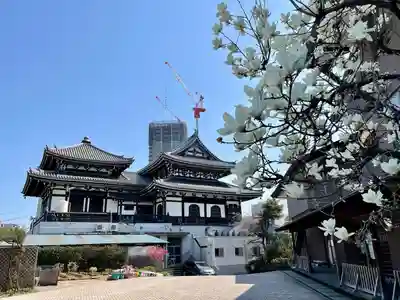 燈明寺(東京都)