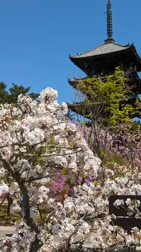 仁和寺(京都府)