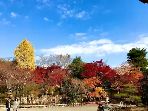 二尊院(京都府)