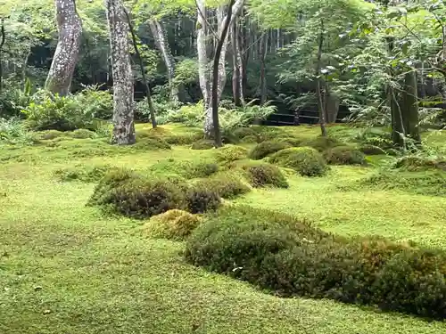 祇王寺(京都府)