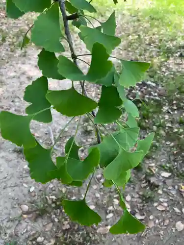 鞆江神社（明地）(愛知県)
