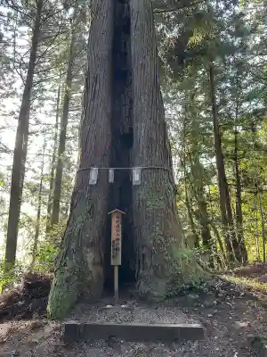 温泉神社の{uncategorized: "未分類", other: "その他", undefined: "問題あり", building: "その他建物", grave: "お墓", sacred_gate: "鳥居", guardian: "狛犬", statue: "像", buddha: "仏像", history: "歴史", nature: "自然", garden: "庭園", animal: "動物", pagoda: "塔", temizu: "手水舎", mountain_gate: "山門・神門", sanctuary: "本殿・本堂", subordinate: "末社・摂社", art: "芸術", scenery: "景色", jizo: "地蔵", ema: "絵馬", goshuin: "御朱印", omikuji: "おみくじ", items: "授与品その他", amulet: "お守り", goshuincho: "御朱印帳", eats: "食事", festival: "お祭り", votive_dance: "神楽", shichigosan: "七五三参", wedding: "結婚式", experience: "体験その他", initially: "初詣", around: "周辺", anti_infection: "感染症対策"}
