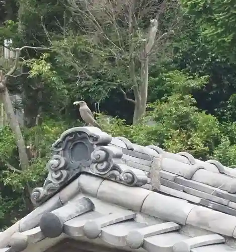 薬王寺(神奈川県)