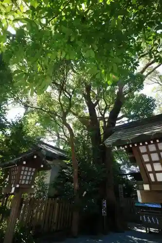 伊勢山皇大神宮の建物その他