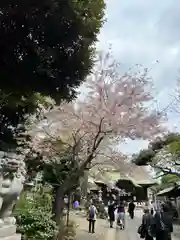 菊田神社(千葉県)